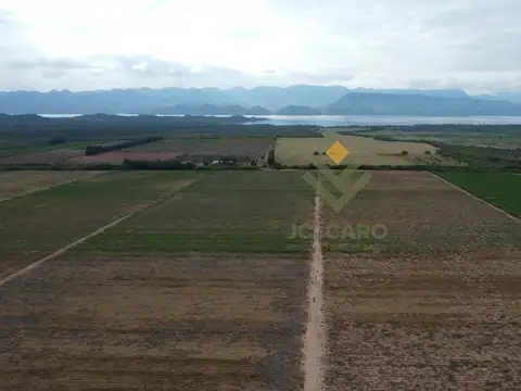Campo en Venta en Coronel Moldes