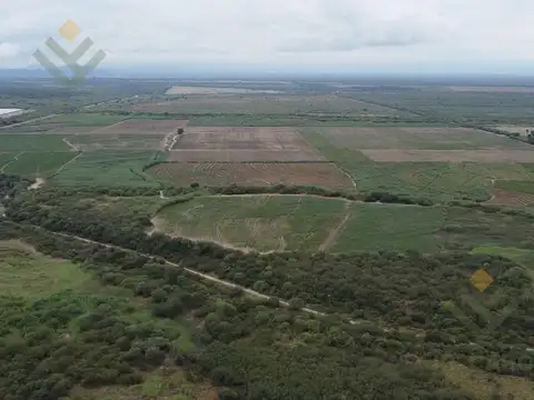 Campo Agrícola con Riego en el Valle de Lerma