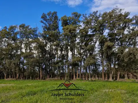 Campo en Venta Agrícola