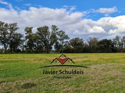 Campo en Venta Agrícola