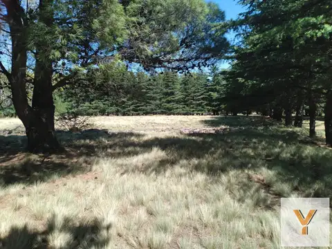 Terreno en Venta de 5492,0 m2