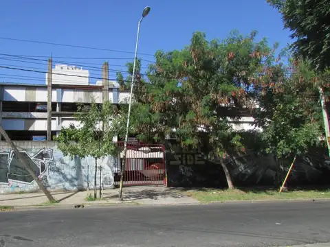 Cabildo 300