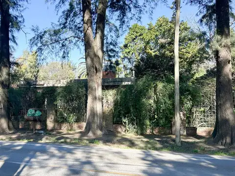 Del Pino 1800
