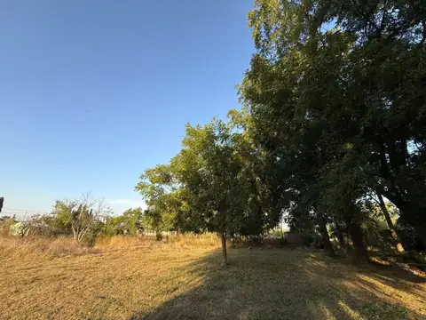 Quinta - Venta - Argentina, Lobos - Barracas 2400