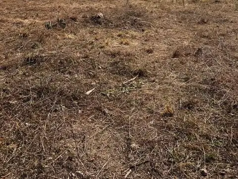 Terreno en Venta 33  mts Fondo