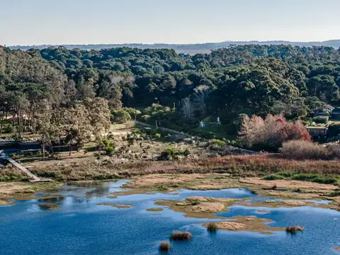 Lote de 1.126 m2 sobre la costa - Reserva Montoya