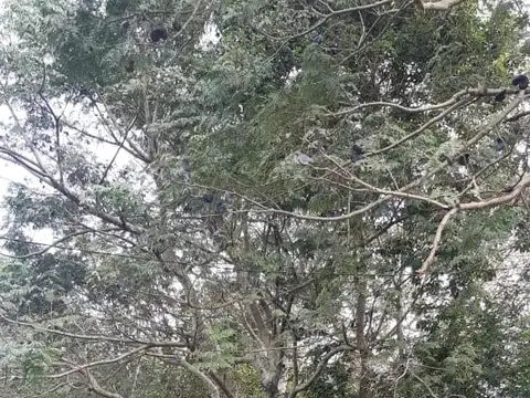 Casa en Venta en Colonia Benitez, USD 55.000