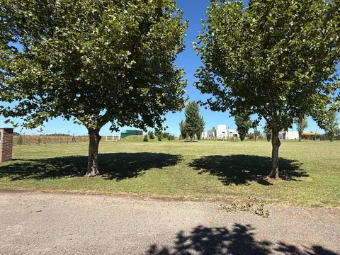 Terreno en Venta 20  mts Frente