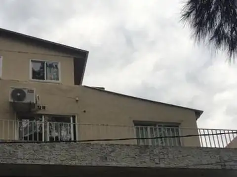 PEDRON LEON GALLO 1900