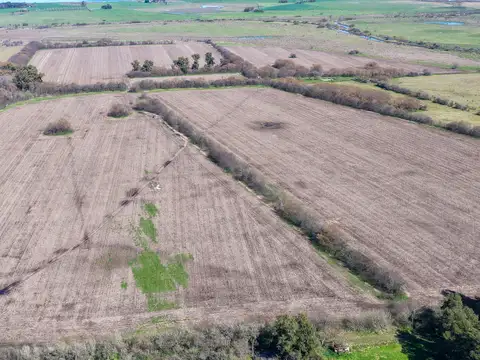 Campo mixto de 180 hectáreas en Lobos