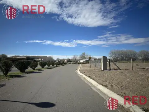 Av. Plottier al 1000