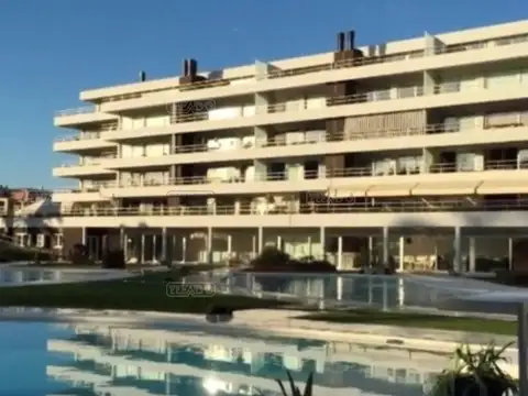 Bouquet Pilar, Los Crisantemos 500