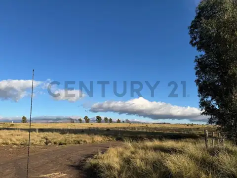 Terreno en Venta 20  mts Fondo