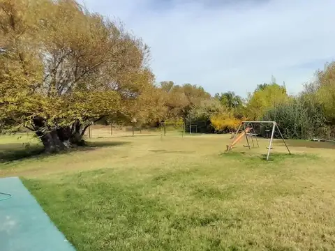 Local en Venta en Plottier, USD 290.000