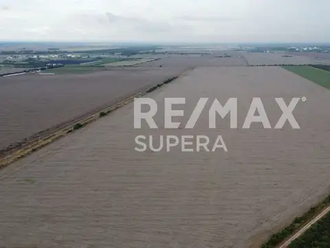 AUTOVÍA RUTA NACIONAL N°19. MI GRANJA. PROVINCIA DE CÓRDOBA.