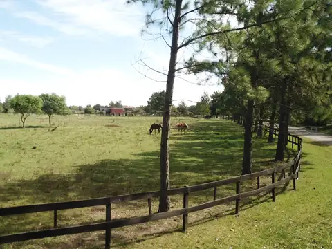 5.000 m2 Terreno en Haras El Malacate con Financiación