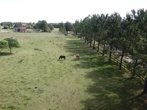 5.000 m2 Terreno en Haras El Malacate con Financiación