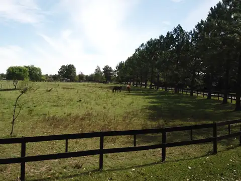 Terreno en Venta de 5000,0 m2