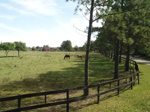 5.000 m2 Terreno en Haras El Malacate con Financiación