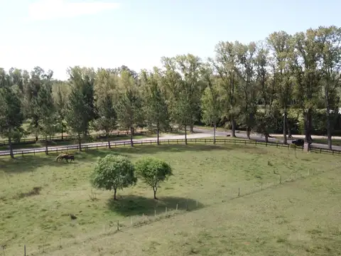 Terreno en Venta de 5000,0 m2