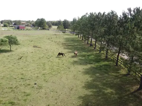 5.000 m2 Terreno en Haras El Malacate con Financiación