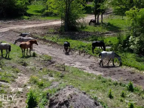 Terreno en Venta en Los Cardales, USD 29.500