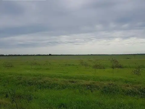 Campo en venta de 14000 has en Formosa - Ideal Ciclo completo gran ubicación