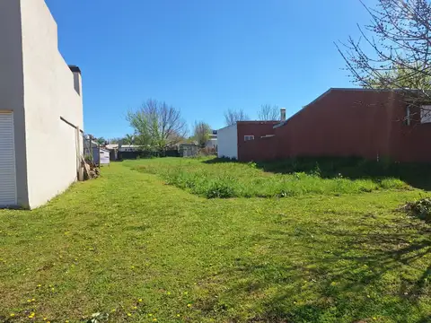 VENDO AMPLIO TERRENO EN VILLA ELISA 