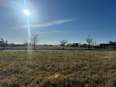 Laguna de las Pampas, Ruta 7 km 100