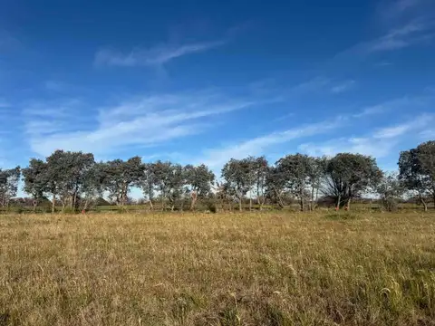 Terreno en Venta en Villa Espil, USD 20.000