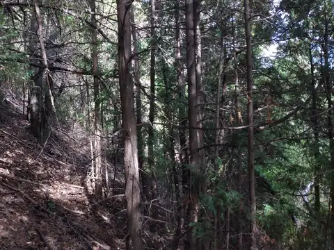 Chacra en Mallin Ahogado