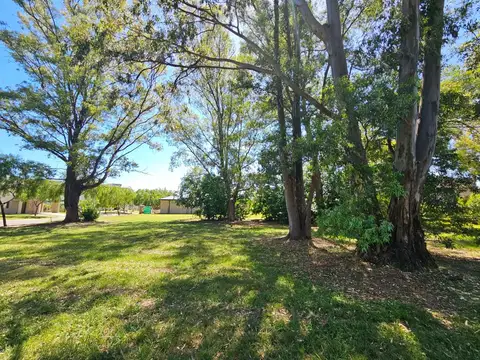 Terreno Lote  en Venta ubicado en Santa Elena, Pilar del Este, Pilar