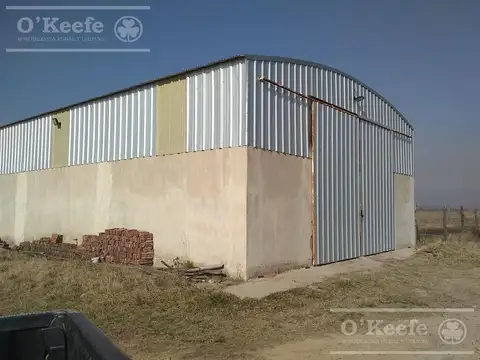 Campo Ganadero de 165 Has - Sobre Ruta - Ranchos