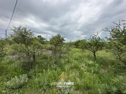 Terreno en Venta en Los Espinillos, USD 15.000
