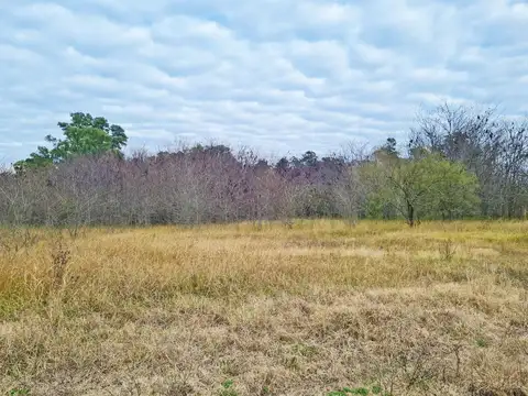 Campo mixto en cercanías de Tomas Jofré