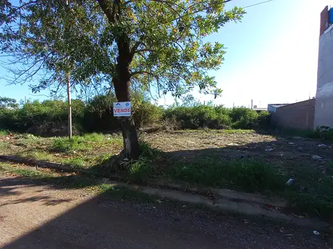 OLIVOS (Bº REVIDATTI) 4600