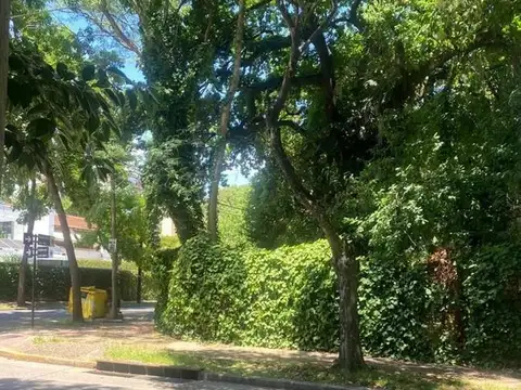 Suipacha 2000