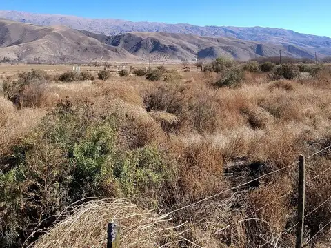 Venta terreno 29.900 m2 sobre Ruta| Tafi del valle