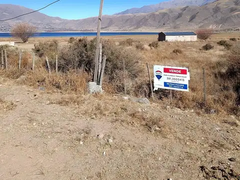 ruta 307