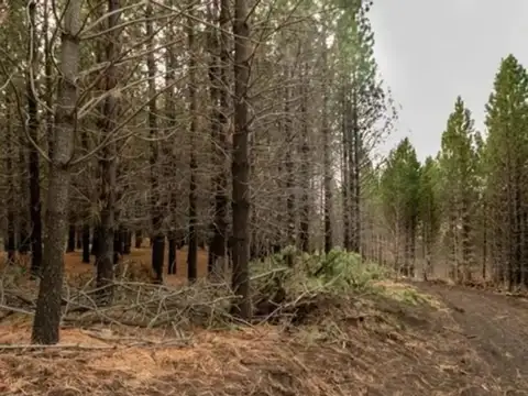 Terreno en Venta de 980,0 m2