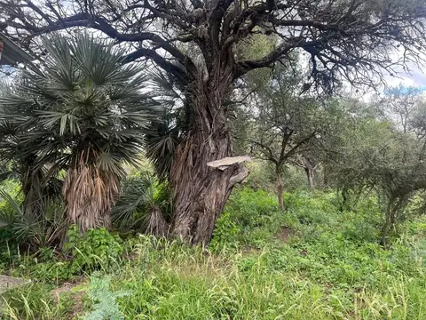 VENTA LOTE CHARBONIER 42 HAS DESARROLLO TURISTICO