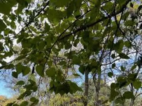 Terreno en Venta en General Pacheco, USD 510.272