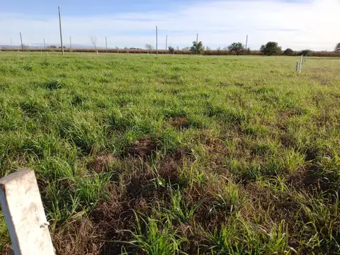 Terreno en Venta de 251,0 m2