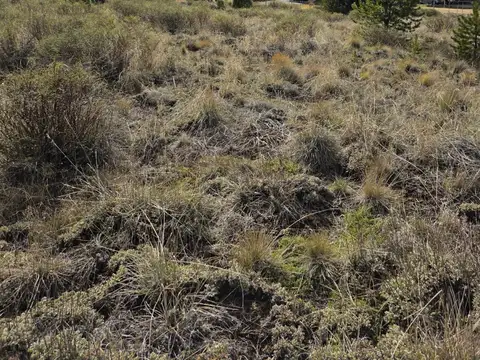 Terreno - Quilquihue