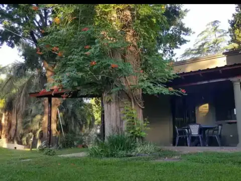 El remnaso