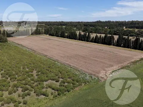 CHACRA DE 2,5 HECTÁREAS PRODUCTIVAS EN VENTA – GOBERNADOR CASTRO, SAN PEDRO