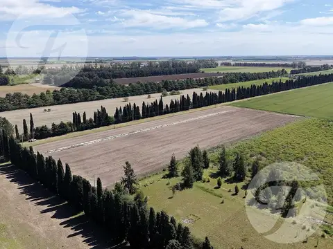 CHACRA DE 2,5 HECTÁREAS PRODUCTIVAS EN VENTA – GOBERNADOR CASTRO, SAN PEDRO