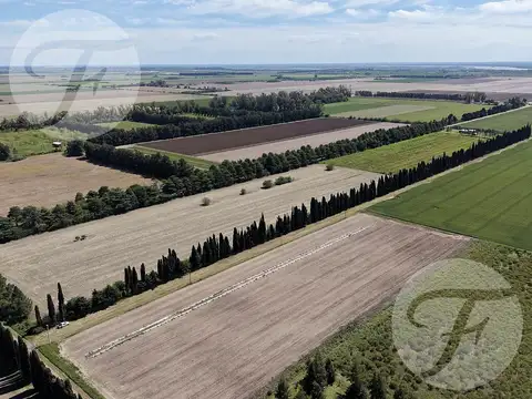 CHACRA DE 2,5 HECTÁREAS PRODUCTIVAS EN VENTA – GOBERNADOR CASTRO, SAN PEDRO
