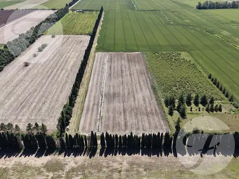 CHACRA DE 2,5 HECTÁREAS PRODUCTIVAS EN VENTA – GOBERNADOR CASTRO, SAN PEDRO