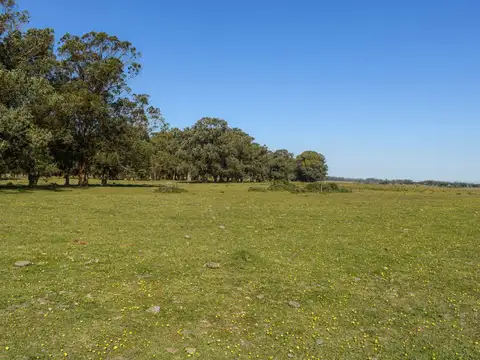 Quinta en Venta en José Ignacio, USD 4.800.000